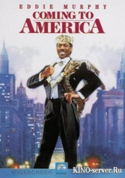    / Coming to America