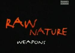 Discovery: . /Raw nature.Weapons