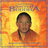 Sina Vodjani sacred budha (2002)