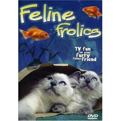 Feline Frolics -    / Feline Frolics