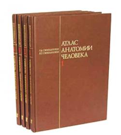 Атлас анатомии человека (4 тома)