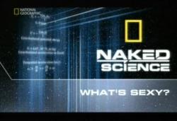    .    :  / Naked Science: What's Sexy?