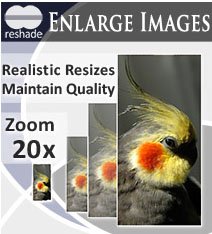 Reshade Image Enlarger 1.5