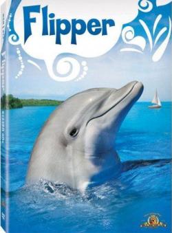  / Flipper (50-80   80)