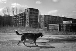  / Pripyat