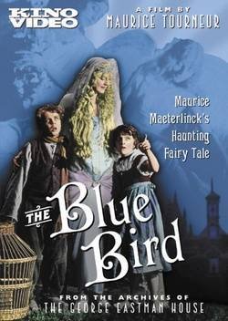   / The Blue Bird