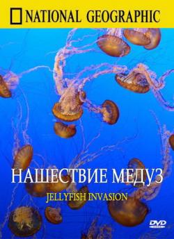   / Jellyfish invasion National Geographic