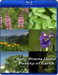   / Sony Bravia Demo Beauty of Earth (1920x1080)