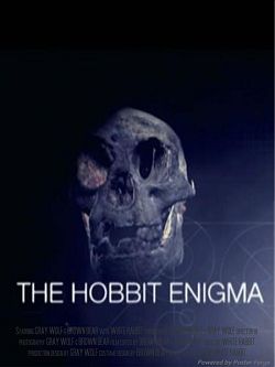    ? / The hobbit enigma
