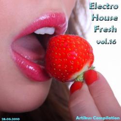 VA - Electro House Fresh vol.16
