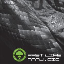 VA - Past Life Analysis