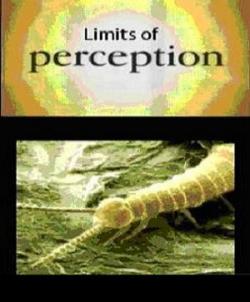    / Limits Of Perception