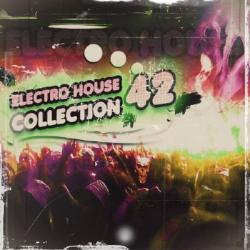 VA - Electro House Collection 42