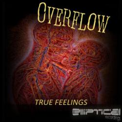 Overflow-True Feelings (EPT045) WEB- [scene]