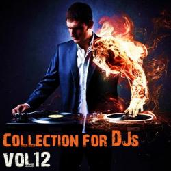 VA - Collection for Dj's vol.12