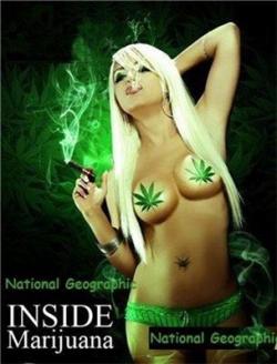:  / Inside: Marijuana