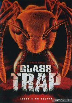   / Glass Trap
