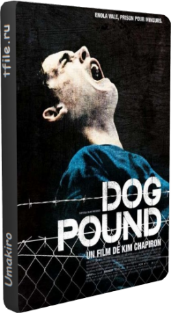   /    / Dog Pound