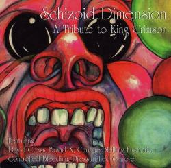 VA - Schizoid Dimension