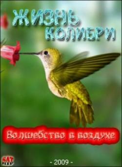  .    / Hummingbirds. Magic in the Air