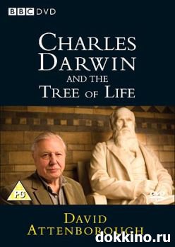 BBC:     / BBC:Charles Darwin and the Tree of Life