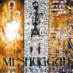 Meshuggah - Destroy erase improve