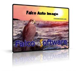 Falco Auto Image 5.3
