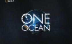  :    / One Ocean: Birth of an Ocean