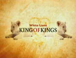  :   / White Lions, King of Kings