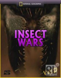   / Insect wars