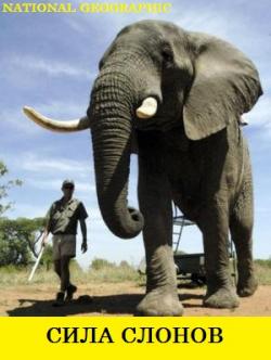 National Geographic:   / Elephant power VO