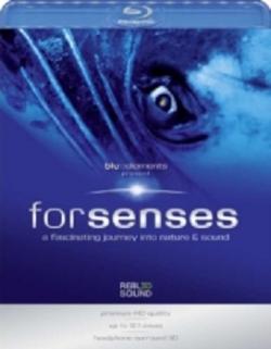        / Blue Elements Present: Forsenses