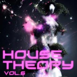 VA - House Theory vol.6