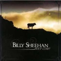 Billy Sheehan - Holy Cow