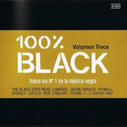 VA - 100% Black Volumen Trece