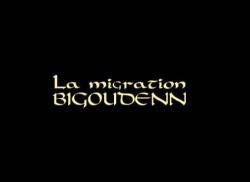    / La Migration Bigoudenn