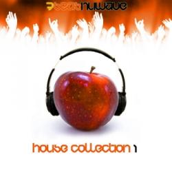 VA - House Collection 1