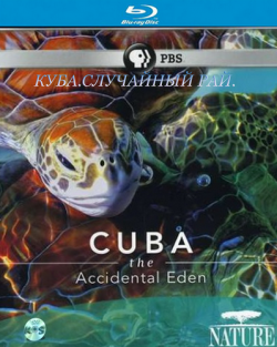 .   / Cuba. The Accidental Eden