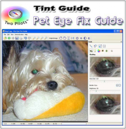 Pet Eye Fix Guide 1.1 Portable