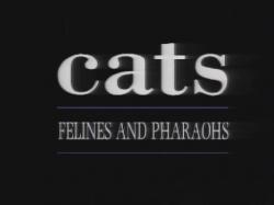    / Felines and Pharaohs