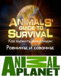 Animal Planet.    (2  7) :    / The Animals' guide to Survival
