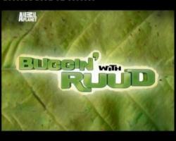     (1-4 ) / Buggin with Ruud