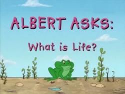    / Albert asks / 1-2  /  39  39
