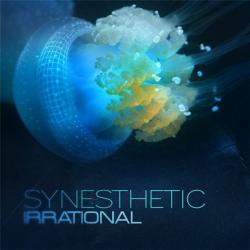 Synesthetic - Irrational