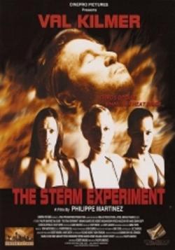   / The Steam Experiment DVO