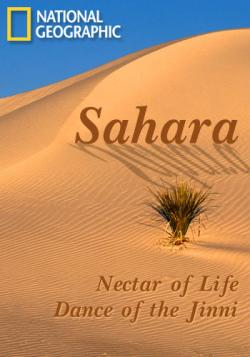 National Geographic -  / National Geographic - Sahara