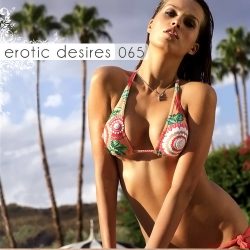 VA - Erotic Desires Volume 065