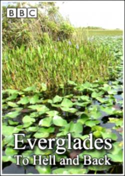 BBC: Мир природы. Болота. В ад и обратно / BBC: The Natural World. Everglades. To Hell and Back VO