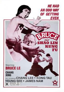   -  - / Bruce And Shaolin Kung-Fu / Da mo tie zhi gong DVO