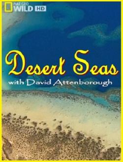   / Desert Seas DUB